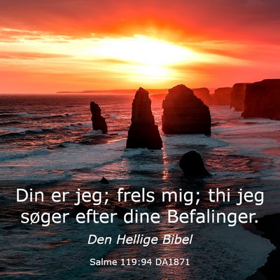 Picture 03 - Salme 119:94 DA1871 - Din er jeg; frels mig; thi jeg søger efter dine - Bible Verse Picture