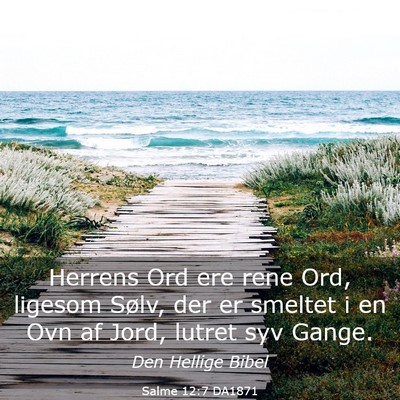 Picture 03 - Salme 12:7 DA1871 - Herrens Ord ere rene Ord, ligesom Sølv, der er - Bible Verse Picture