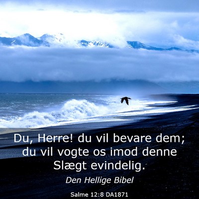 Picture 03 - Salme 12:8 DA1871 - Du, Herre! du vil bevare dem; du vil vogte os - Bible Verse Picture