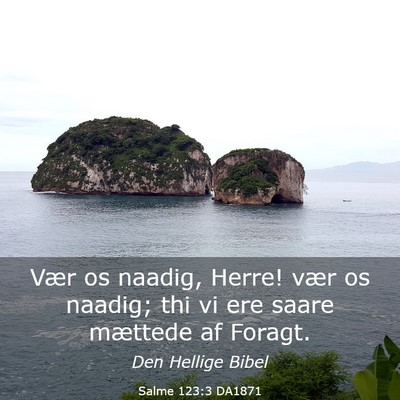 Picture 03 - Salme 123:3 DA1871 - Vær os naadig, Herre! vær os naadig; thi vi ere - Bible Verse Picture
