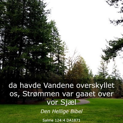 Picture 03 - Salme 124:4 DA1871 - da havde Vandene overskyllet os, Strømmen var - Bible Verse Picture