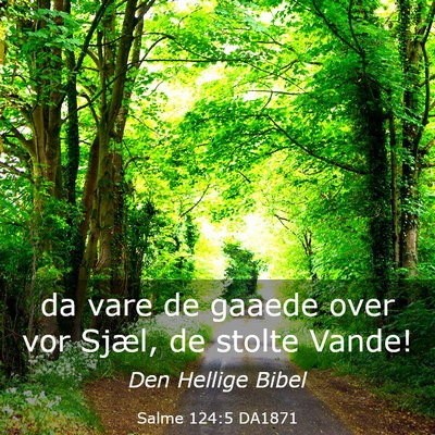 Picture 03 - Salme 124:5 DA1871 - da vare de gaaede over vor Sjæl, de stolte - Bible Verse Picture