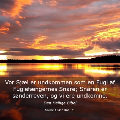 Picture 03 - Salme 124:7 DA1871 - Vor Sjæl er undkommen som en Fugl af - Bible Verse Picture