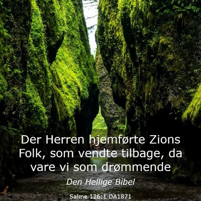 Picture 03 - Salme 126:1 DA1871 - Der Herren hjemførte Zions Folk, som vendte - Bible Verse Picture