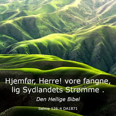 Picture 03 - Salme 126:4 DA1871 - Hjemfør, Herre! vore fangne, lig Sydlandets - Bible Verse Picture