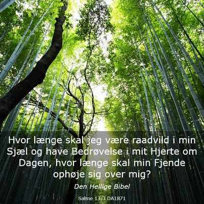 Picture 03 - Salme 13:3 DA1871 - Hvor længe skal jeg være raadvild i min Sjæl - Bible Verse Picture