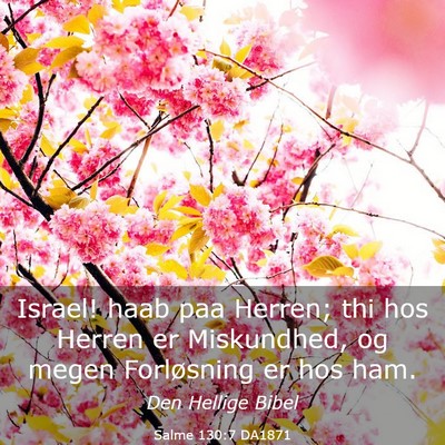 Picture 03 - Salme 130:7 DA1871 - Israel! haab paa Herren; thi hos Herren er - Bible Verse Picture