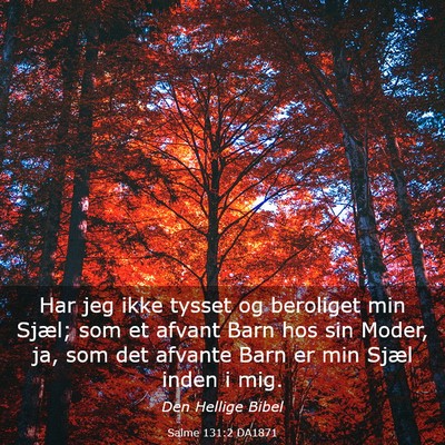 Picture 03 - Salme 131:2 DA1871 - Har jeg ikke tysset og beroliget min Sjæl; som - Bible Verse Picture