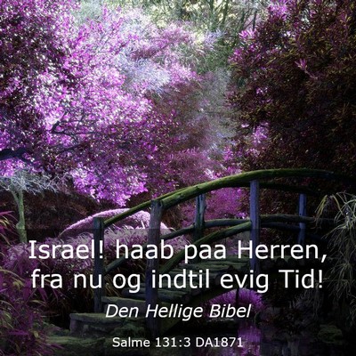 Picture 03 - Salme 131:3 DA1871 - Israel! haab paa Herren, fra nu og indtil evig - Bible Verse Picture