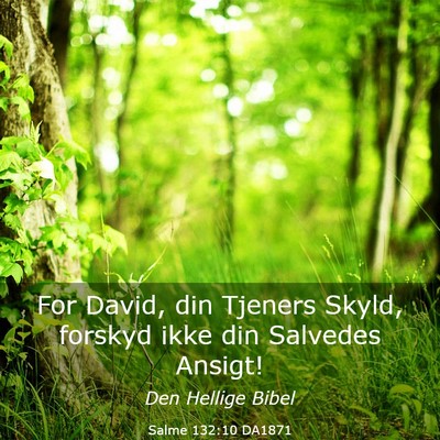 Picture 03 - Salme 132:10 DA1871 - For David, din Tjeners Skyld, forskyd ikke din - Bible Verse Picture