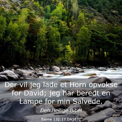 Picture 03 - Salme 132:17 DA1871 - Der vil jeg lade et Horn opvokse for David; jeg - Bible Verse Picture