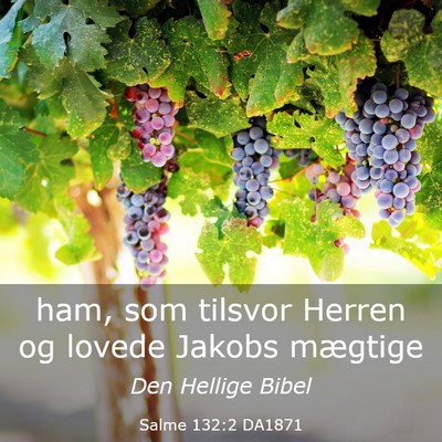 Picture 03 - Salme 132:2 DA1871 - ham, som tilsvor Herren og lovede Jakobs - Bible Verse Picture