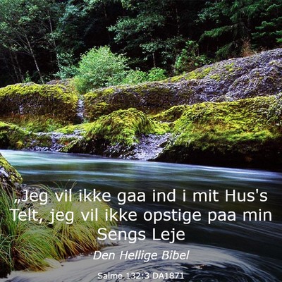 Picture 03 - Salme 132:3 DA1871 - „Jeg vil ikke gaa ind i mit Hus's Telt, jeg vil - Bible Verse Picture
