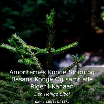 Picture 03 - Salme 135:11 DA1871 - Amoriternes Konge Sihon og Basans Konge Og samt - Bible Verse Picture
