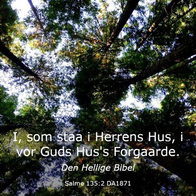Picture 03 - Salme 135:2 DA1871 - I, som staa i Herrens Hus, i vor Guds Hus's - Bible Verse Picture
