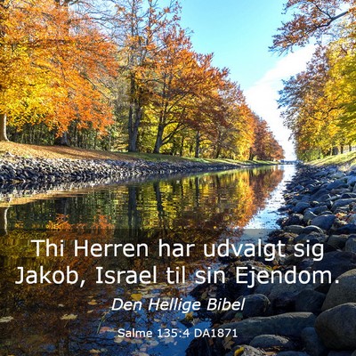 Picture 03 - Salme 135:4 DA1871 - Thi Herren har udvalgt sig Jakob, Israel til sin - Bible Verse Picture