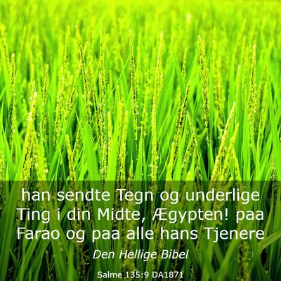 Picture 03 - Salme 135:9 DA1871 - han sendte Tegn og underlige Ting i din Midte, - Bible Verse Picture