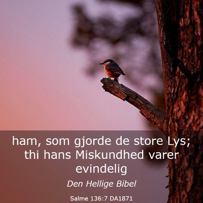 Picture 03 - Salme 136:7 DA1871 - ham, som gjorde de store Lys; thi hans Miskundhed - Bible Verse Picture