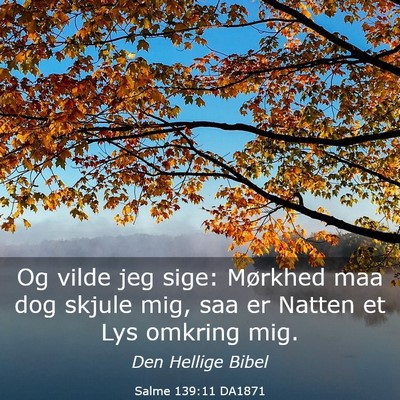 Picture 03 - Salme 139:11 DA1871 - Og vilde jeg sige: Mørkhed maa dog skjule mig, - Bible Verse Picture