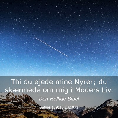 Picture 03 - Salme 139:13 DA1871 - Thi du ejede mine Nyrer; du skærmede om mig i - Bible Verse Picture