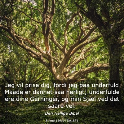 Picture 03 - Salme 139:14 DA1871 - Jeg vil prise dig, fordi jeg paa underfuld Maade - Bible Verse Picture