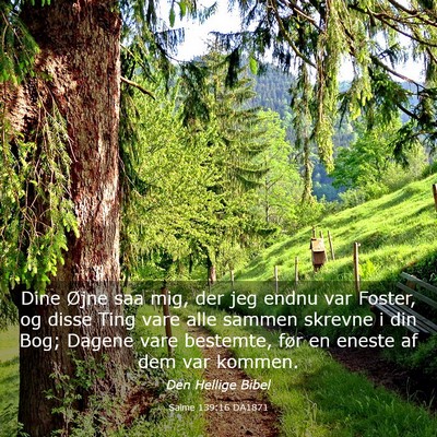 Picture 03 - Salme 139:16 DA1871 - Dine Øjne saa mig, der jeg endnu var Foster, og - Bible Verse Picture
