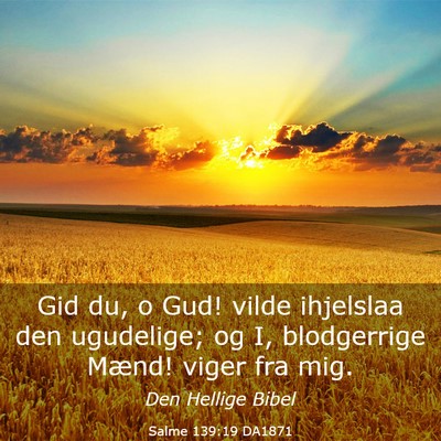 Picture 03 - Salme 139:19 DA1871 - Gid du, o Gud! vilde ihjelslaa den ugudelige; og - Bible Verse Picture