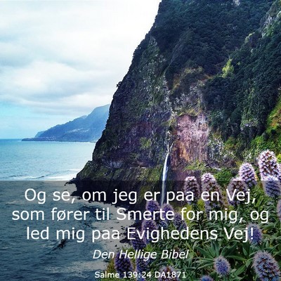 Picture 03 - Salme 139:24 DA1871 - Og se, om jeg er paa en Vej, som fører til - Bible Verse Picture