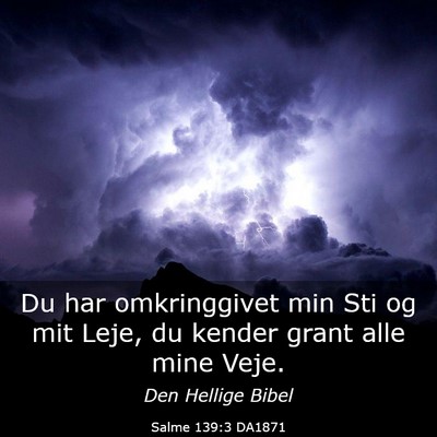 Picture 03 - Salme 139:3 DA1871 - Du har omkringgivet min Sti og mit Leje, du - Bible Verse Picture
