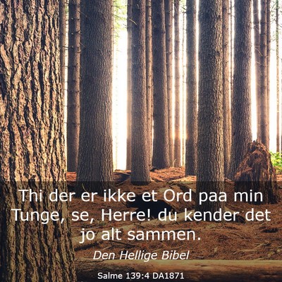 Picture 03 - Salme 139:4 DA1871 - Thi der er ikke et Ord paa min Tunge, se, Herre! - Bible Verse Picture
