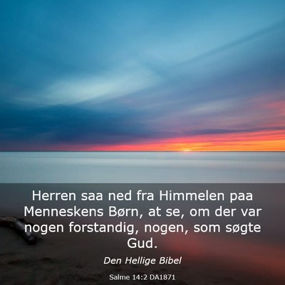 Picture 03 - Salme 14:2 DA1871 - Herren saa ned fra Himmelen paa Menneskens Børn, - Bible Verse Picture