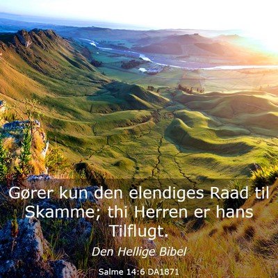 Picture 03 - Salme 14:6 DA1871 - Gører kun den elendiges Raad til Skamme; thi - Bible Verse Picture