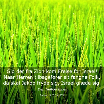 Picture 03 - Salme 14:7 DA1871 - Gid der fra Zion kom Frelse for Israel! Naar - Bible Verse Picture