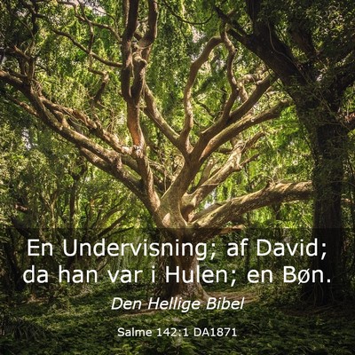 Picture 03 - Salme 142:1 DA1871 - En Undervisning; af David; da han var i Hulen; en - Bible Verse Picture
