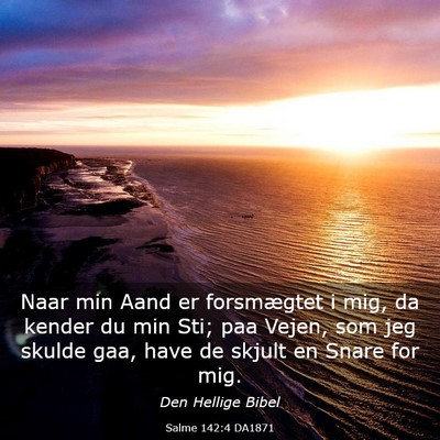 Picture 03 - Salme 142:4 DA1871 - Naar min Aand er forsmægtet i mig, da kender du - Bible Verse Picture