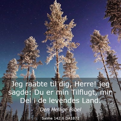 Picture 03 - Salme 142:6 DA1871 - Jeg raabte til dig, Herre! jeg sagde: Du er min - Bible Verse Picture