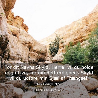 Picture 03 - Salme 143:11 DA1871 - For dit Navns Skyld, Herre! vil du holde mig i - Bible Verse Picture