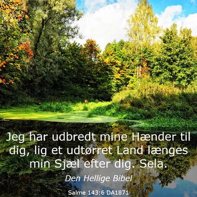 Picture 03 - Salme 143:6 DA1871 - Jeg har udbredt mine Hænder til dig, lig et - Bible Verse Picture