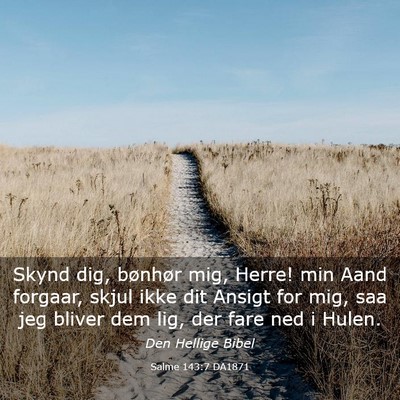 Picture 03 - Salme 143:7 DA1871 - Skynd dig, bønhør mig, Herre! min Aand forgaar, - Bible Verse Picture
