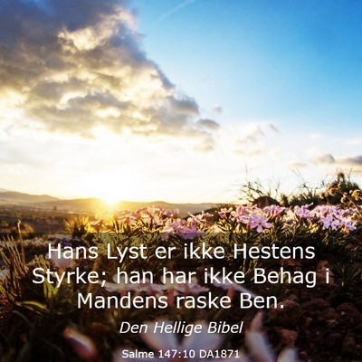 Picture 03 - Salme 147:10 DA1871 - Hans Lyst er ikke Hestens Styrke; han har ikke - Bible Verse Picture