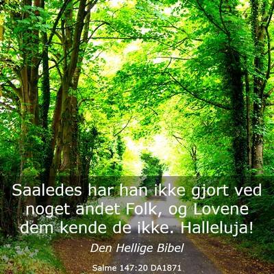 Picture 03 - Salme 147:20 DA1871 - Saaledes har han ikke gjort ved noget andet Folk, - Bible Verse Picture