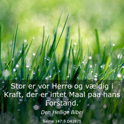 Picture 03 - Salme 147:5 DA1871 - Stor er vor Herre og vældig i Kraft, der er - Bible Verse Picture