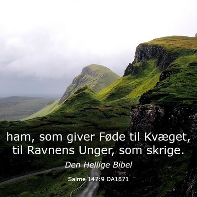 Picture 03 - Salme 147:9 DA1871 - ham, som giver Føde til Kvæget, til Ravnens - Bible Verse Picture