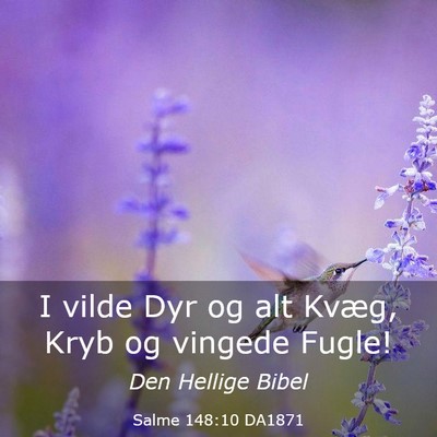 Picture 03 - Salme 148:10 DA1871 - I vilde Dyr og alt Kvæg, Kryb og vingede - Bible Verse Picture