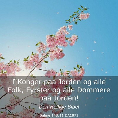 Picture 03 - Salme 148:11 DA1871 - I Konger paa Jorden og alle Folk, Fyrster og alle - Bible Verse Picture