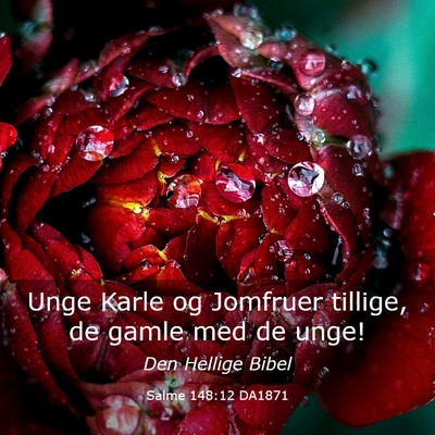Picture 03 - Salme 148:12 DA1871 - Unge Karle og Jomfruer tillige, de gamle med de - Bible Verse Picture