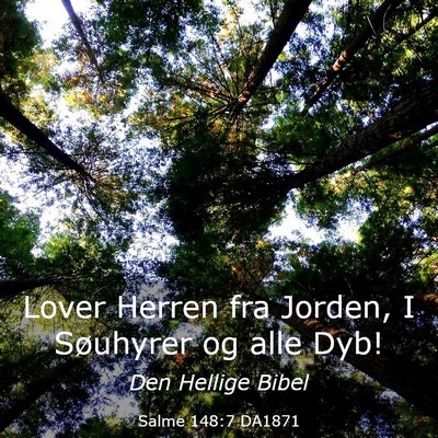 Picture 03 - Salme 148:7 DA1871 - Lover Herren fra Jorden, I Søuhyrer og alle - Bible Verse Picture
