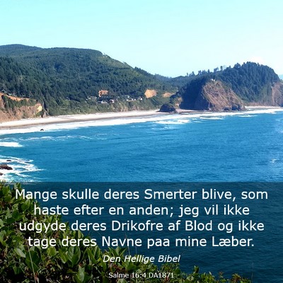 Picture 03 - Salme 16:4 DA1871 - Mange skulle deres Smerter blive, som haste efter - Bible Verse Picture