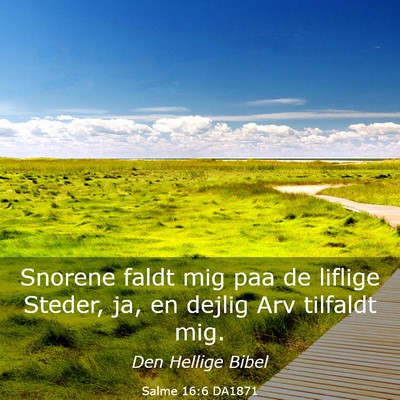 Picture 03 - Salme 16:6 DA1871 - Snorene faldt mig paa de liflige Steder, ja, en - Bible Verse Picture
