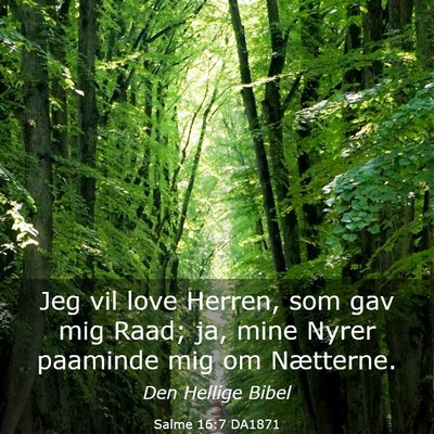 Picture 03 - Salme 16:7 DA1871 - Jeg vil love Herren, som gav mig Raad; ja, mine - Bible Verse Picture